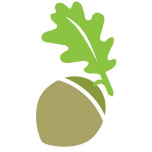 lee-royd-nursery-school-acorn-blog